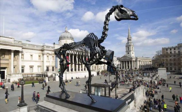 Gift Horse