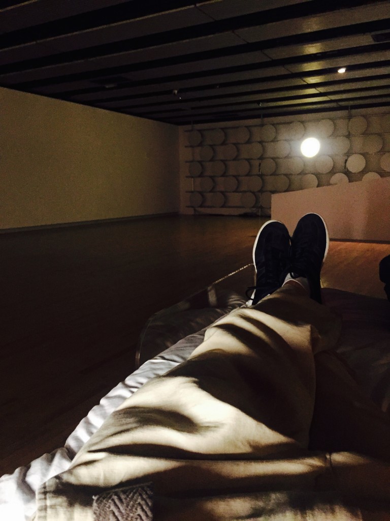 Roaming Beds - Carster Höller